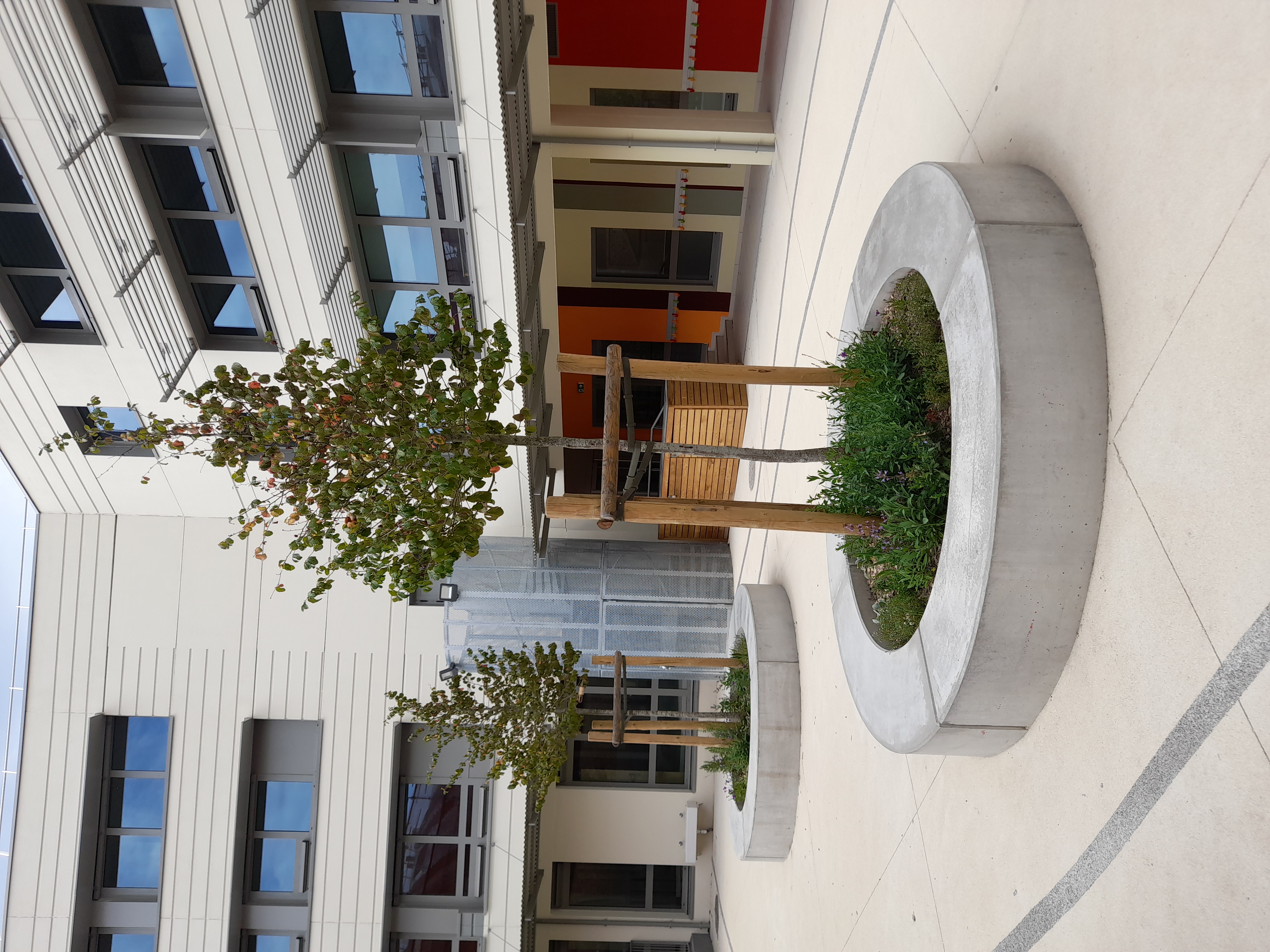 gallery product photo