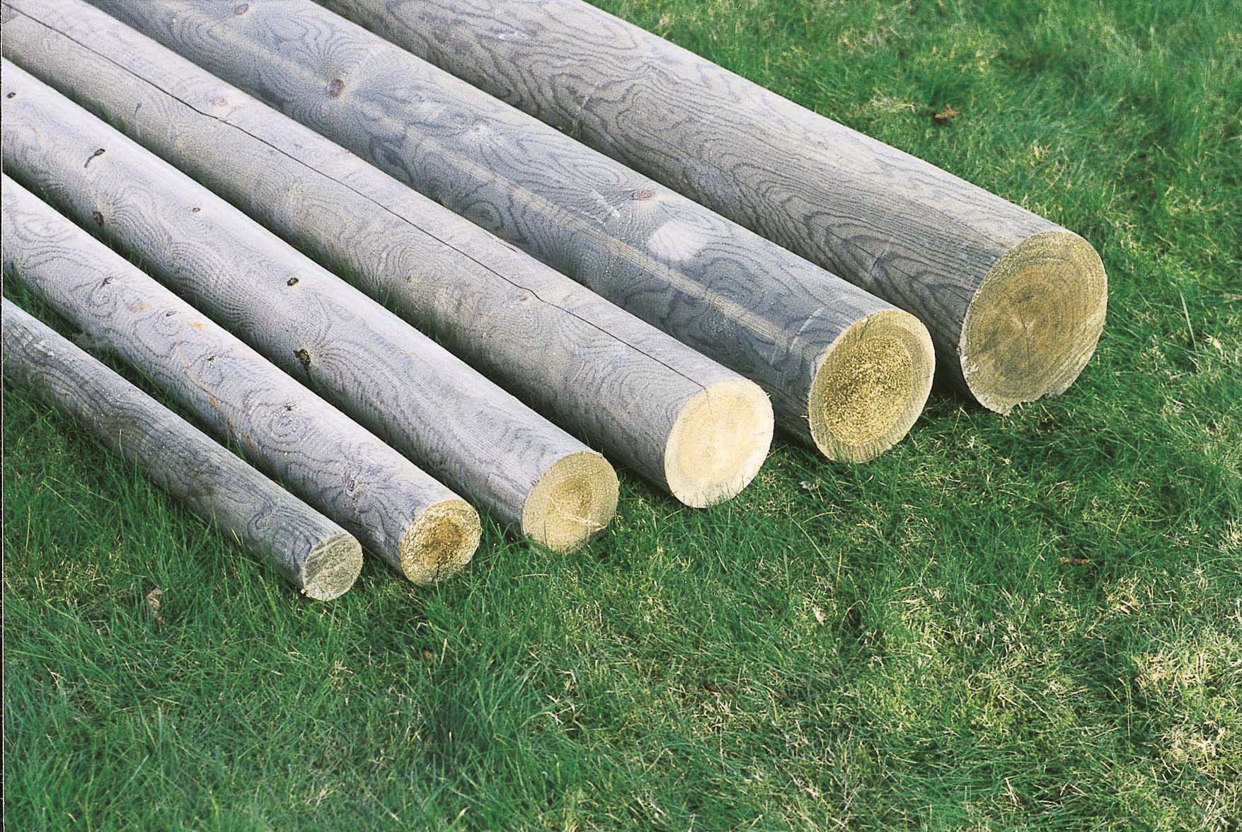 gallery product photo