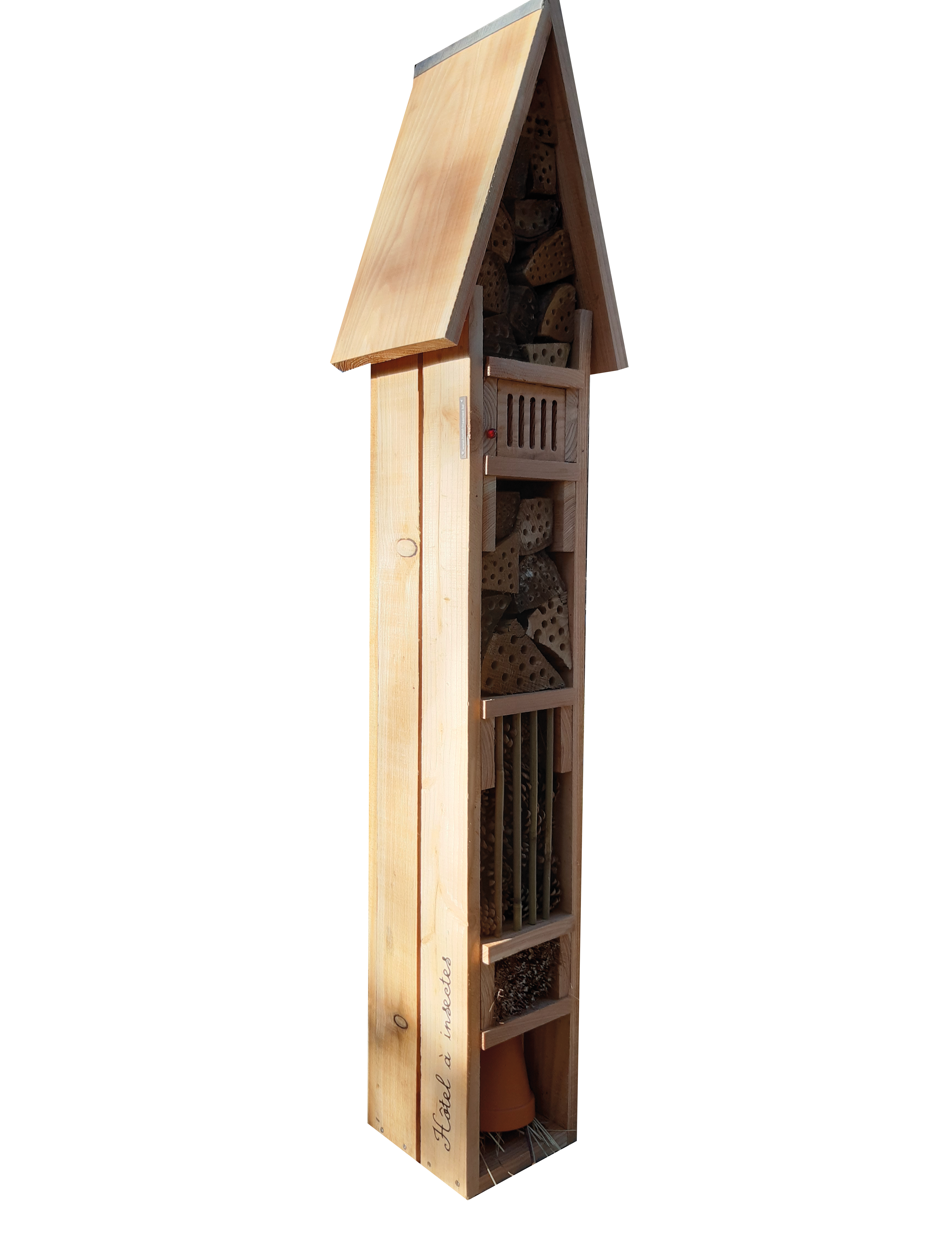 gallery product photo