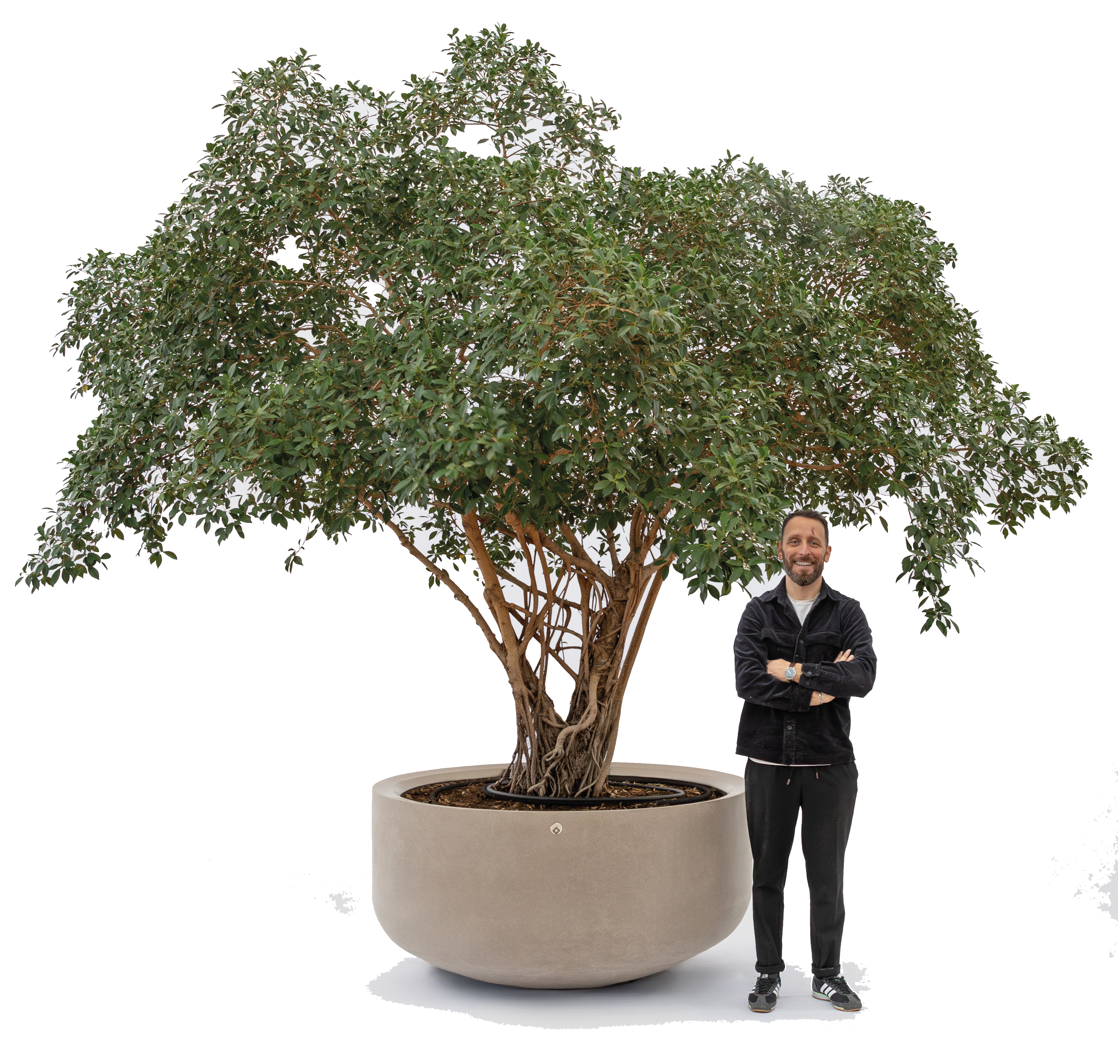 gallery product photo