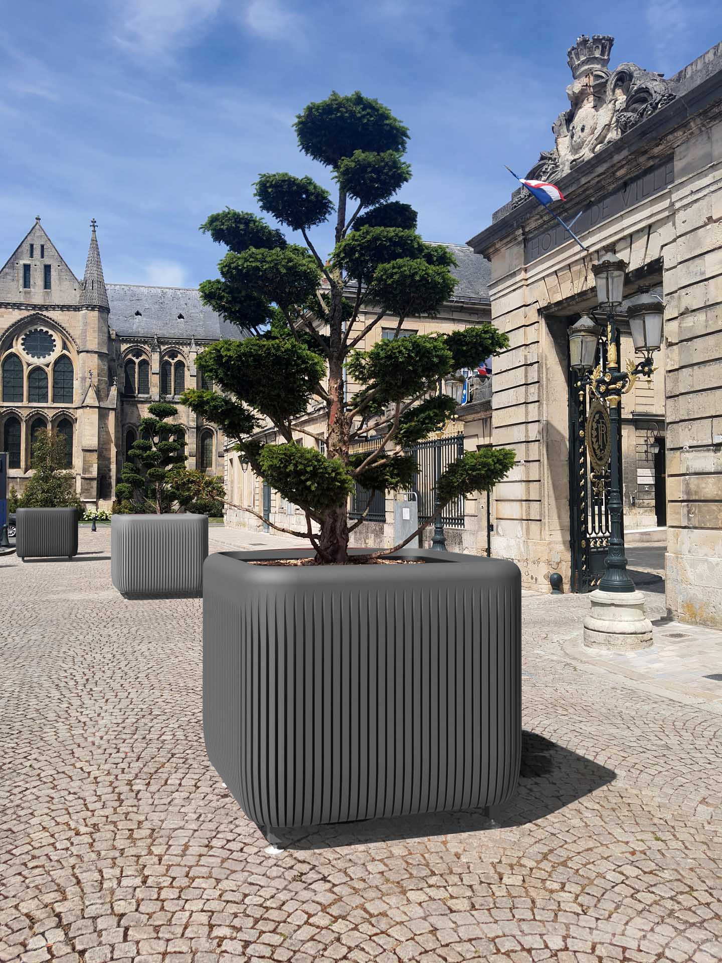 gallery product photo