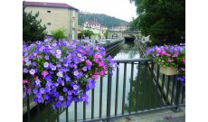 Balconnière Edelweis