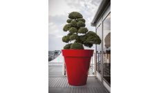 Pot rond Côte d'Argent