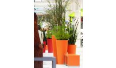 Pot côte d'Opale rond