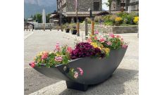 Jardinière muflier + réserve